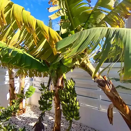 Billy's Place Protaras Luxury With Private Pool With Heated Pool Option For Autumn And Winter Months *