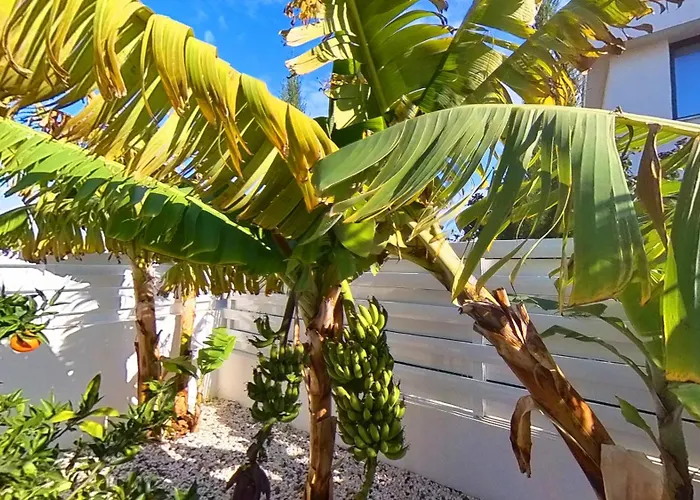 Billy's Place Protaras Luxury With Private Pool With Heated Pool Option For Autumn And Winter Months *